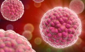 İnsan papilloma virüsünün belirtileri ve tedavisi